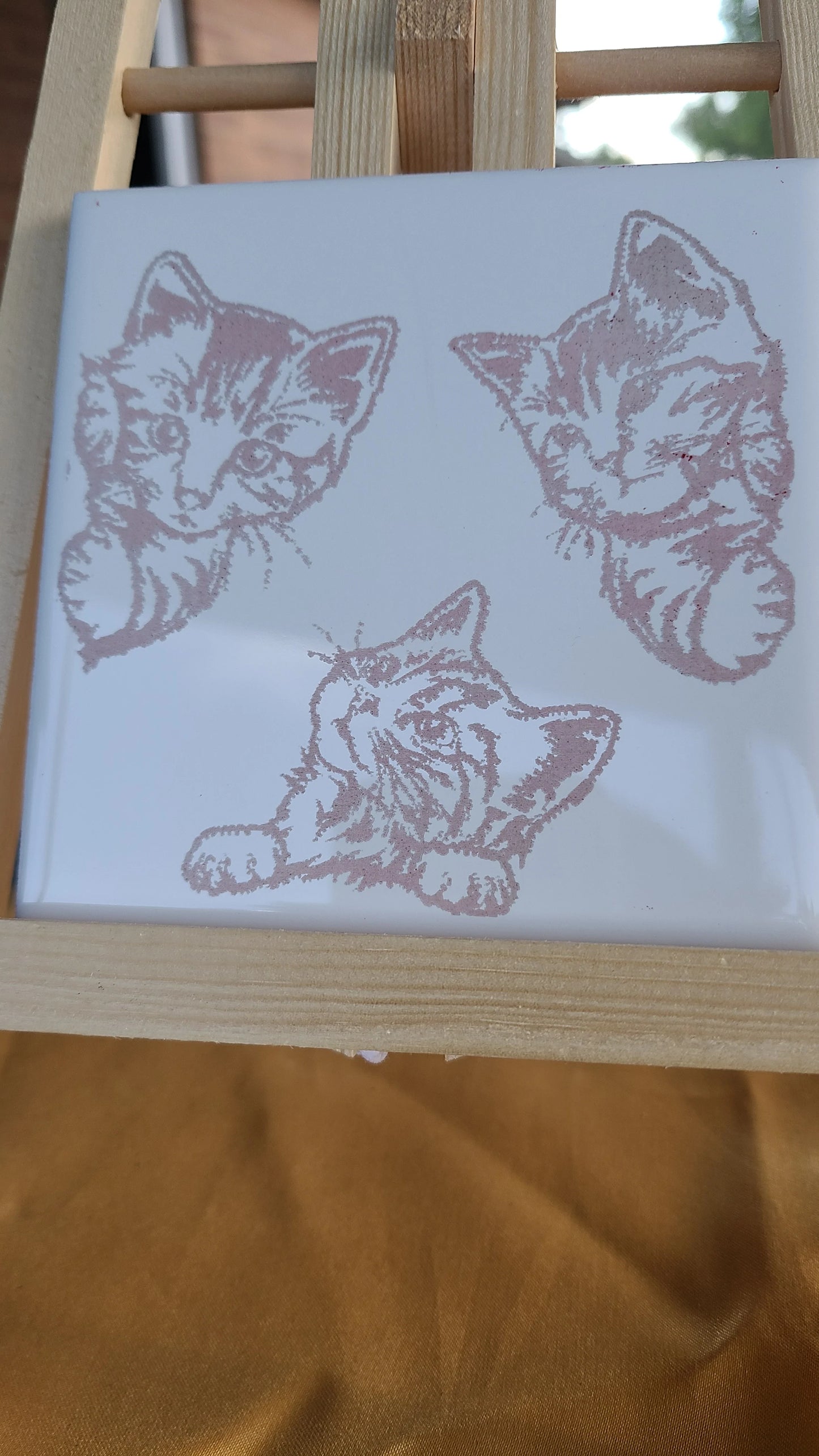 Tile Lasered Coasters - Curious Kittens